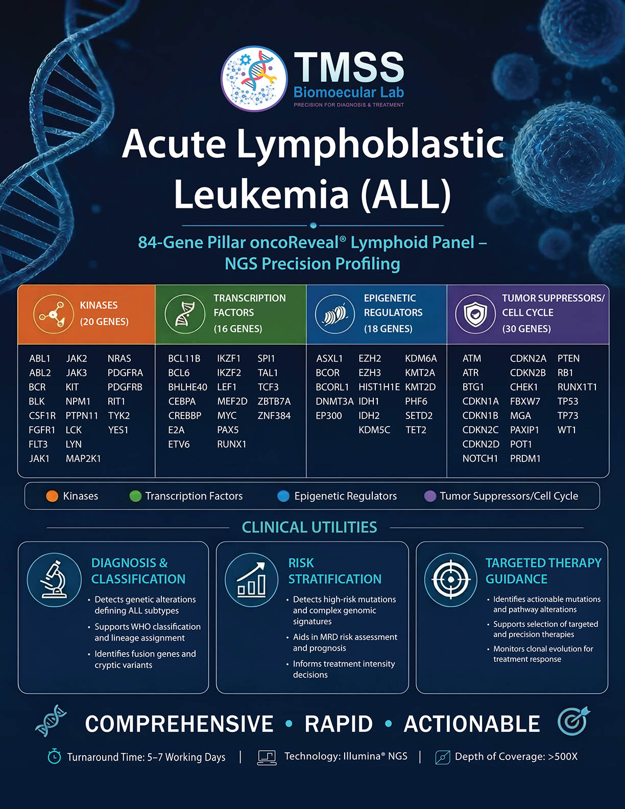 Acute Lymphoblastic Leukemia (ALL)